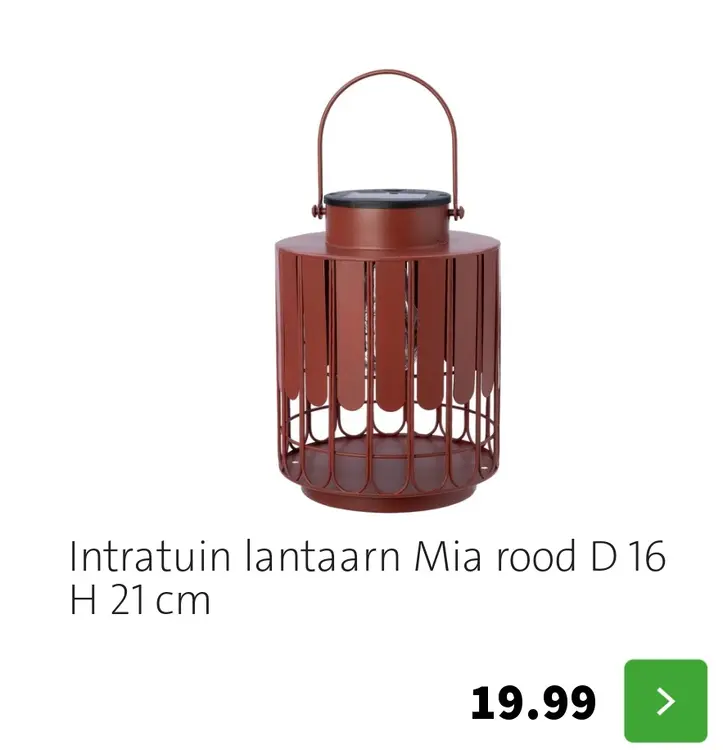 Aanbieding: Intratuin lantaarn Mia