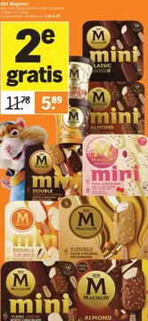 Aanbieding: Alle Magnum