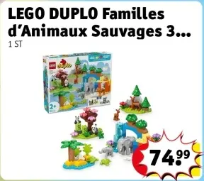 Offre: Familles d'Animaux Sauvages