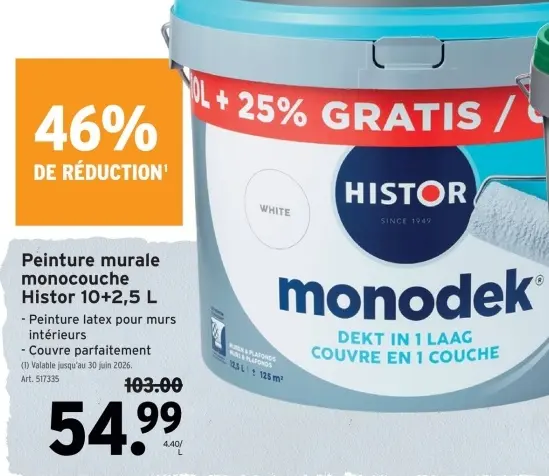 Offre: Peinture murale monocouche