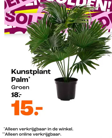 Promotie: Kunstplant Palm