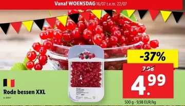 Aanbieding: Rode bessen XXL