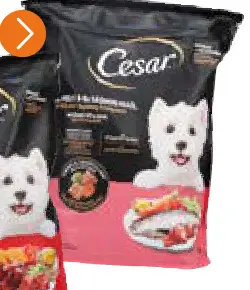 Offre: Cesar
