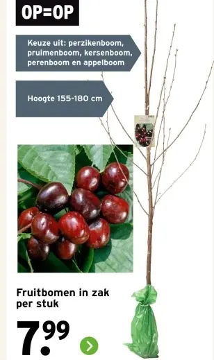 Aanbieding: Fruitbomen