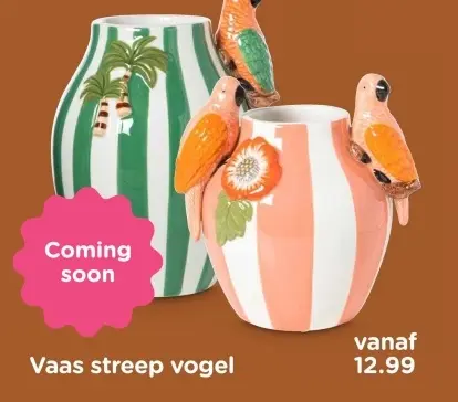 Aanbieding: Vaas streep vogel
