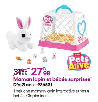 Offre: Maman lapin et bébés surprises