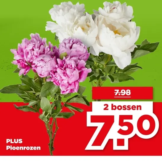 Pioenrozen