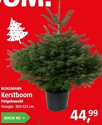 Aanbieding: Kerstboom