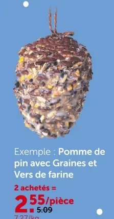 Offre: Pomme de pin avec Graines et Vers de farine