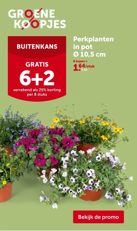 Promotie: Perkplanten