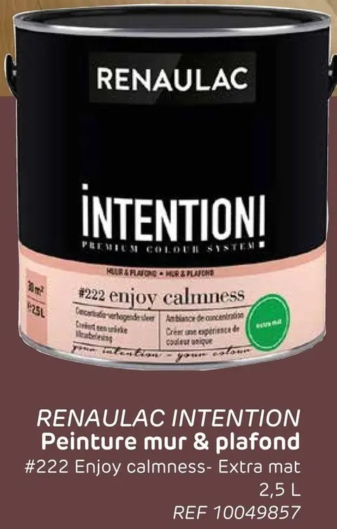 Offre: Peinture mur & plafond #222 Enjoy calmness- Extra mat
