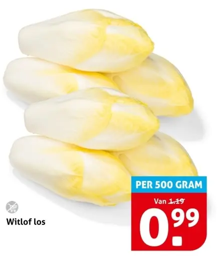 Witlof