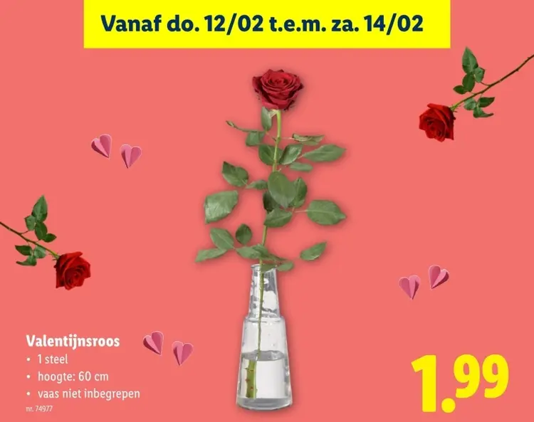 Promotie: Valentijnsroos