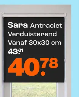 Promotie: Sara Antraciet Verduisterend
