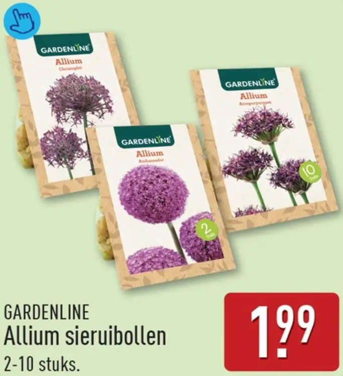 Aanbieding: GARDENLINE Allium sieruibollen