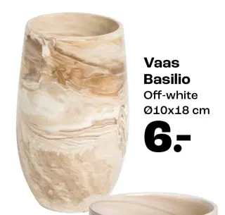 Promotie: Vaas Basilio