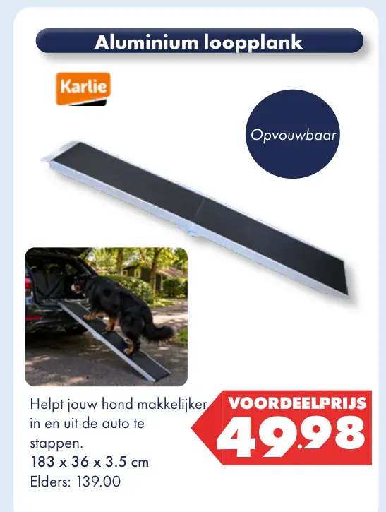 Aanbieding: Aluminium loopplank