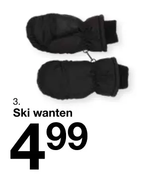 Aanbieding: Ski wanten