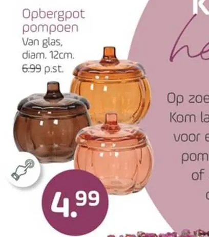 Aanbieding: Opbergpot pompoen
