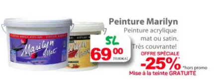 Offre: Peinture Marilyn