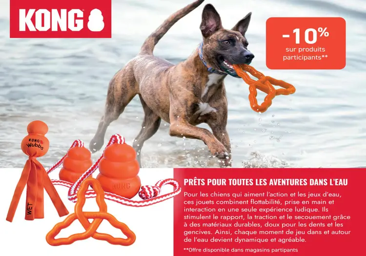Offre: Jouets d'eau kong