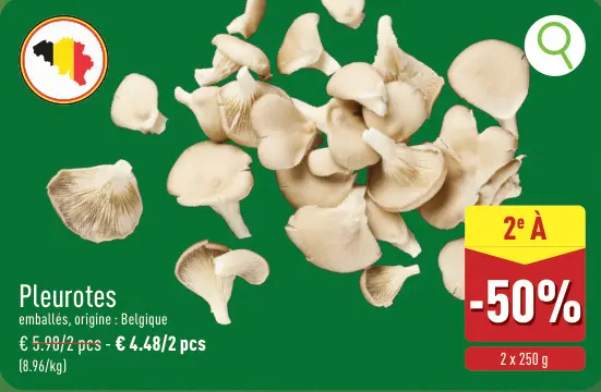 Offre: Pleurotes