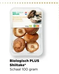 Aanbieding: Shiitake