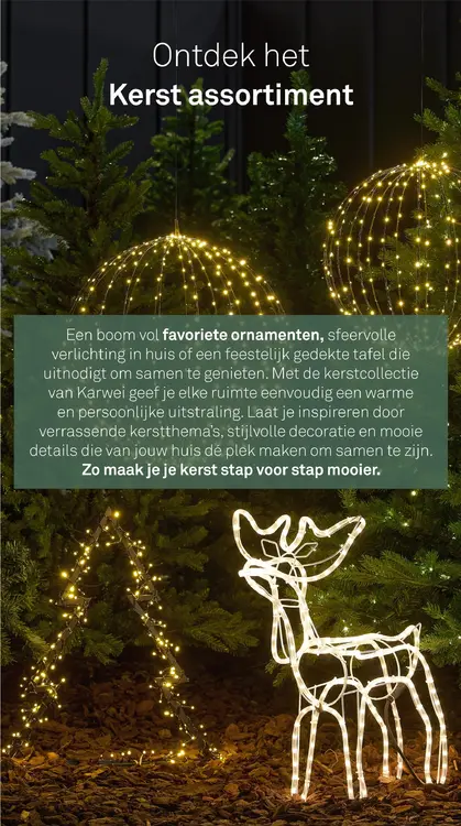 Aanbieding: Kerst assortiment