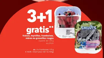 Offre: fraises, myrtilles, framboises, mûres ou groseilles rouges