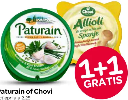 Aanbieding: Paturain of Chovi