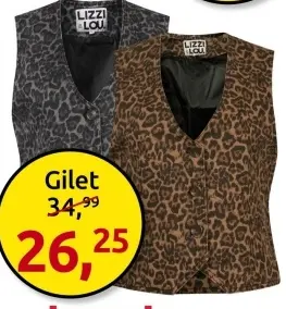 Aanbieding: Gilet