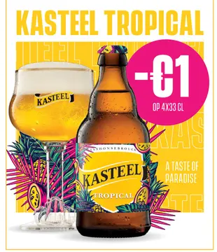 Aanbieding: Kasteel Tropical