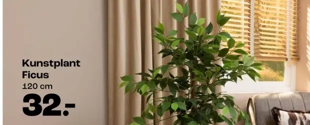 Promotie: Kunstplant Ficus