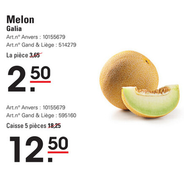 Offre: Melon Galia