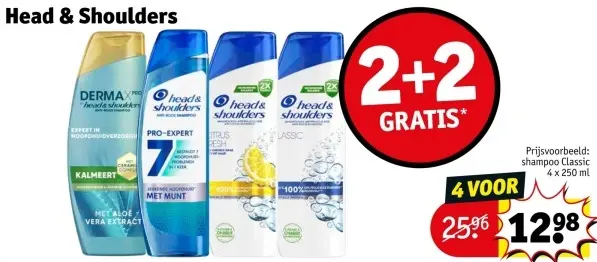 Aanbieding: Head & Shoulders
