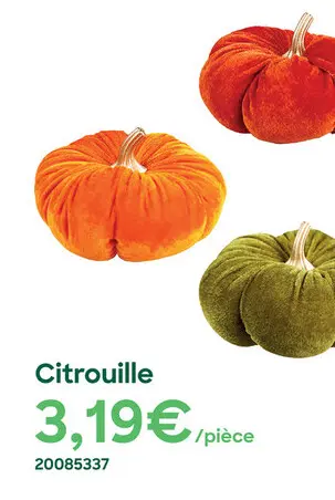 Offre: Citrouille