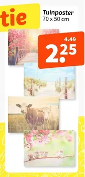 Aanbieding: Tuinposter
