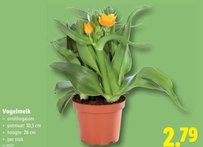 Promotie: Vogelmelk