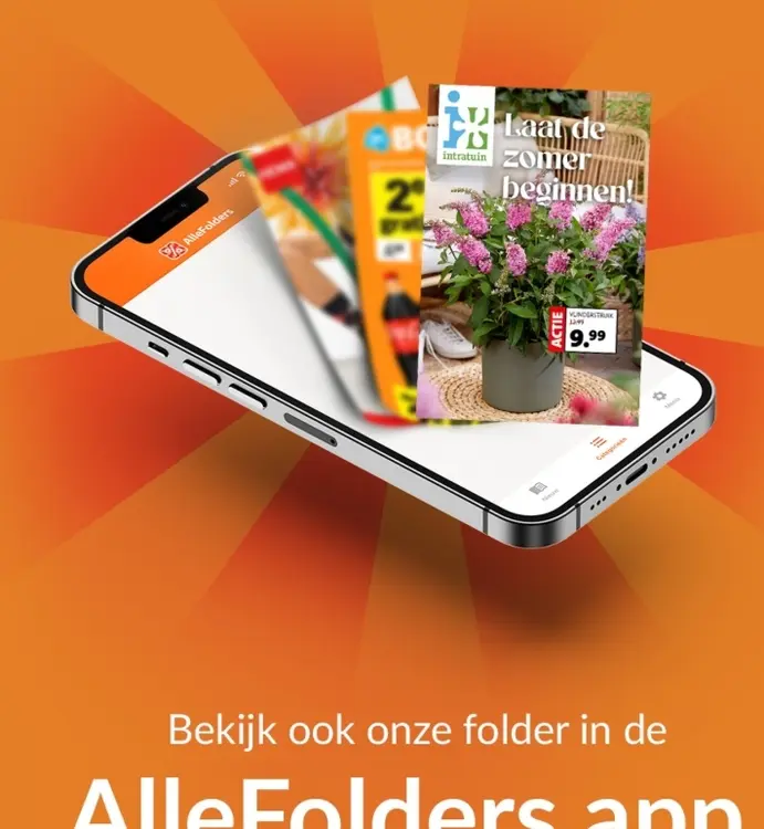 Aanbieding: Vlinderstruik