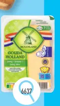 Offre: Gouda Holland