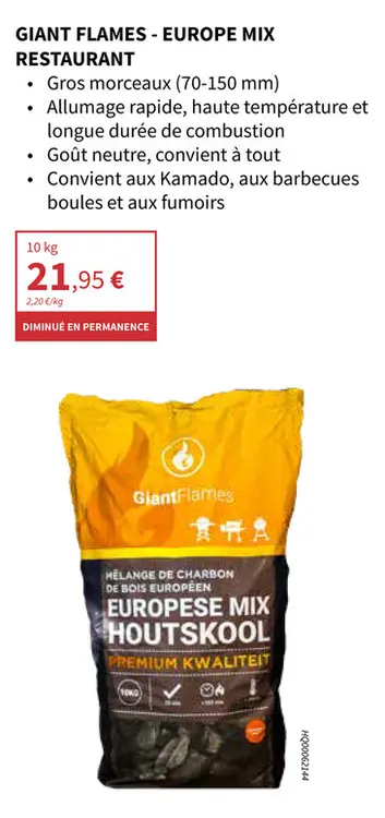 Offre: Giant flames - europe mix restaurant