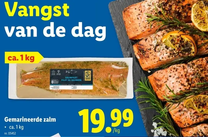 Promotie: Gemarineerde zalm