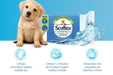 Offre: Scottex Complete Clean