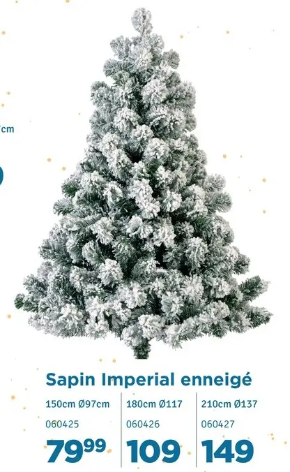 Offre: Sapin Imperial enneigé