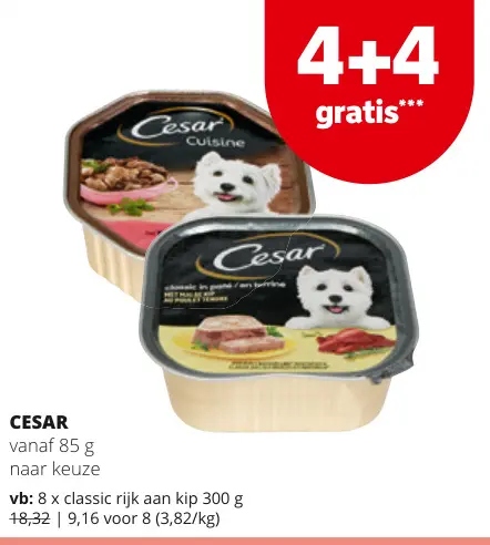 Promotie: Cesar
