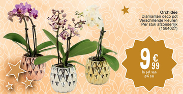 Aanbieding: Orchidée Diamanten deco pot