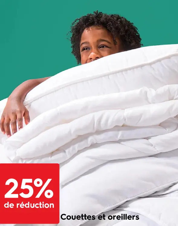 Offre: Couettes et oreillers