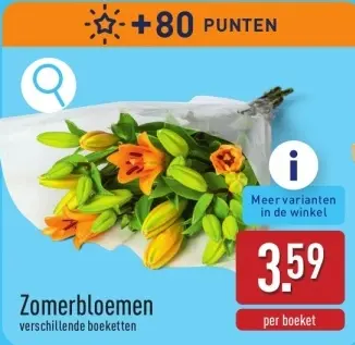 Promotie: Zomerbloemen