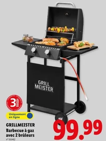 Offre: Barbecue à gaz avec 2 brûleurs