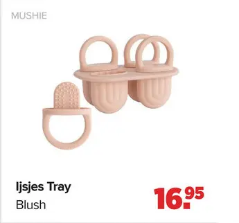 Aanbieding: Ijsjes Tray